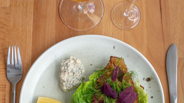 Video artikel med binge fra sektion OD clip