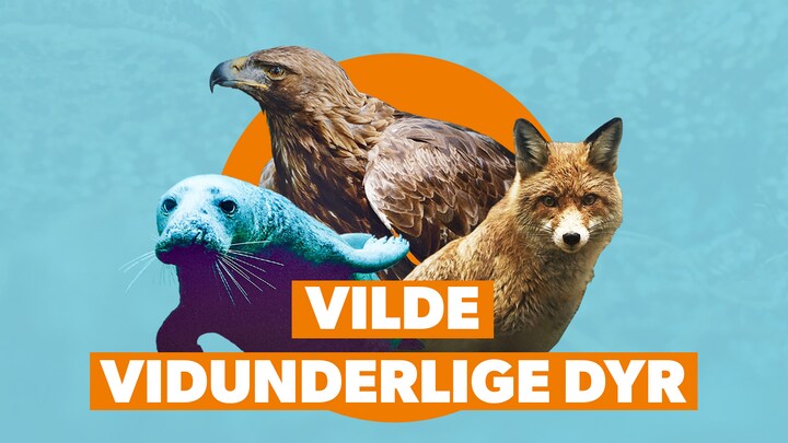 Vilde Vidunderlige Dyr