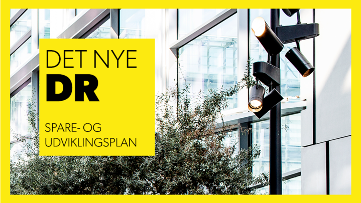 Spare- og udviklingsplan 2018