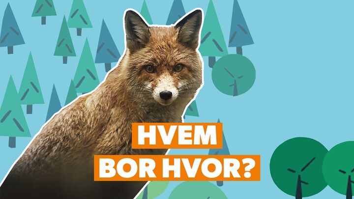 Levesteder: Hvem bor hvor?