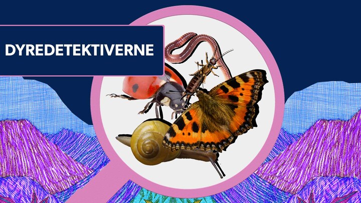 Dyredetektiverne