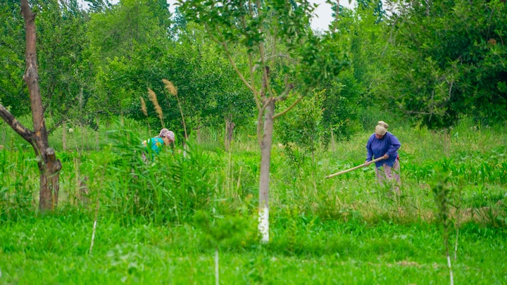 Foto-feature m. billedserie som overskrives med billede i Dr. Edition